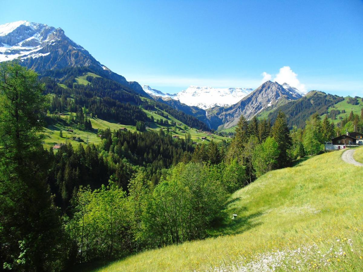 Appartment Andrea Adelboden Exterior foto