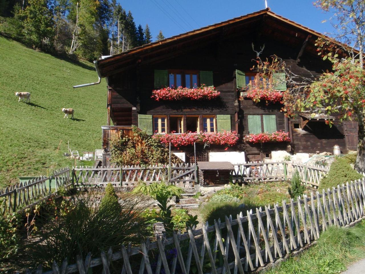 Appartment Andrea Adelboden Exterior foto