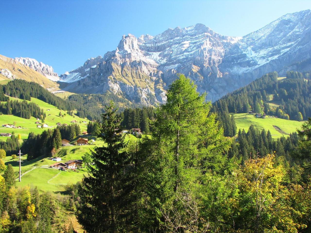 Appartment Andrea Adelboden Exterior foto